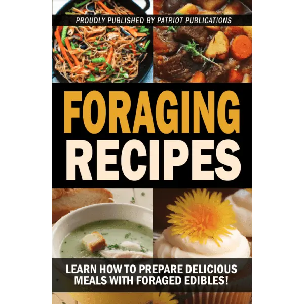 Foraging Recipes