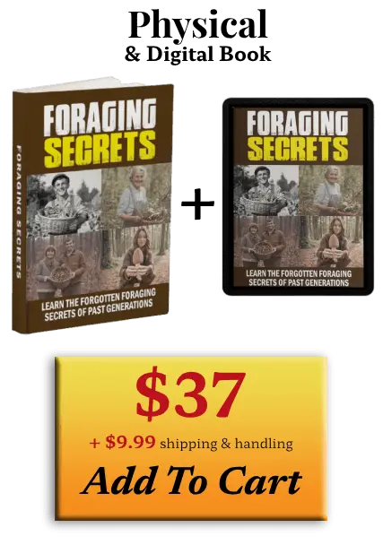 Foraging Secrets book