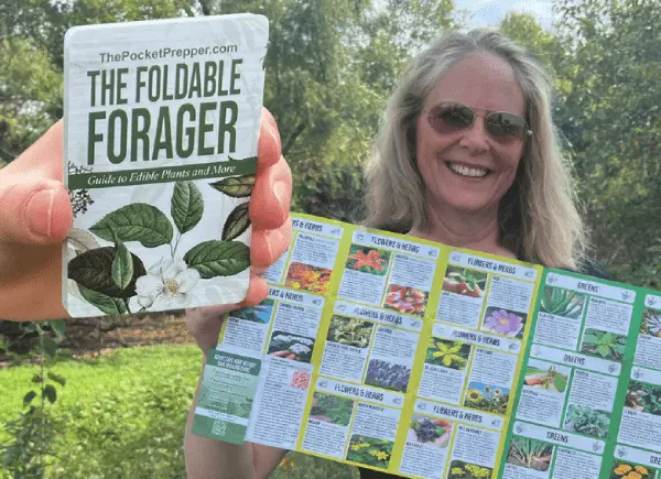 Foldable Foragers